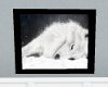 *AE* White Wolf picture