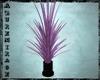 ^AZ^Purple Plant
