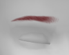 Eyebrows Ginger