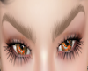 MK New Eyebrows BG