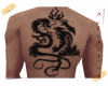 Dragon/Tiger Back Tattoo