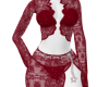VPS Red Dress