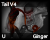 Ginger Tail V4