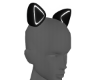 A|| Egirl Kitty -Ears