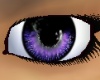 !~eyez~spring purple