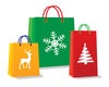 Holiday Shopping Bag