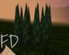 Vineyard Cypress Trees