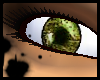 [L] Forest eye
