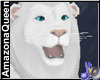 )o( White Lion King Pet