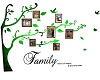 SunSet Family Tree