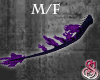Dragon Tail Purple M/F