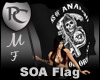 SOA Flag