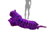 exotics tiger 2