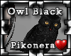 !Pk Pet Owl Black