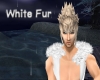 (A.W) White Fur
