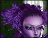 Purple Fairy Bundle