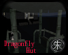dragonfly Nights Hut