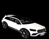 ANIMATED ADD ON RIMS