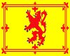 scotish rampant lion rug