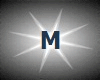 [M]Letter"M"Silver Anim
