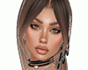 D- Modern Avi