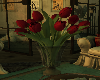 Red Tulip