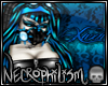 *13* Xuxu Flash Banner