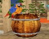 ANTIMATED PARROT/BARREL