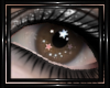 !T! Eyes | StarDust 8