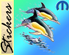 dolphin Tatoo