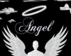 Angel white background
