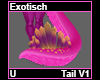 Exotisch Tail V1