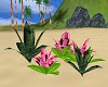 PHV Tropical Plants