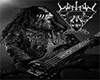 Watain Picture