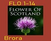 Flower Of Scotland