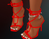 Red Knot Heels