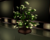 Lighted Tree in Planter