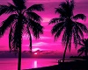 *L* Pink Beach Picture