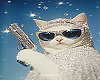🅲 Cat Cut