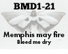 Memphis may fire Bleed