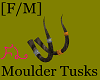 Tohaal Moulder Tusks