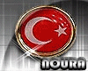 N*Turkish Flagged Ring