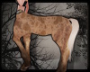 +Beachy Centaur Body v5