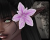 +Drow Beach Flower