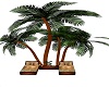 PALM TREE RECLINER