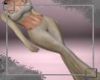 Jogger Flares V1