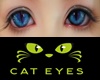 Cat Eyes 3