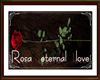 Rosa eternal love.