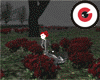 Blood Roses Field
