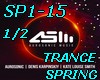 SP1-15-SPRING-P1